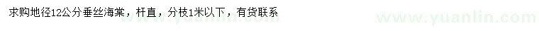 求購地徑12公分垂絲海棠
