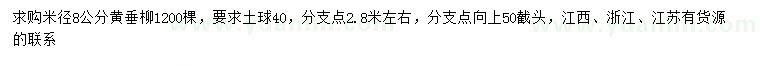 求購米徑8公分黃垂柳