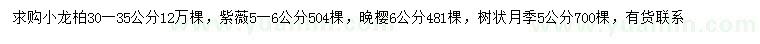 求購小龍柏、紫薇、晚櫻等