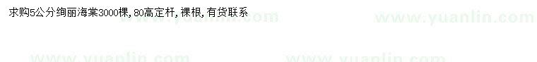 求購5公分絢麗海棠