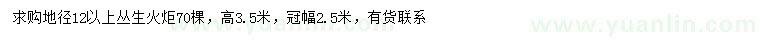 求購(gòu)地徑12公分以上叢生火炬