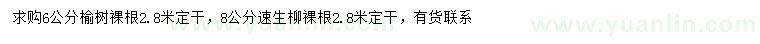 求購6公分榆樹、8公分速生柳