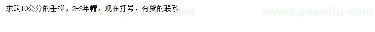 求購10公分垂柳