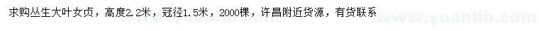 求購冠幅1.5米叢生大葉女貞