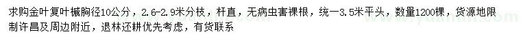 求購胸徑10公分金葉復(fù)葉槭