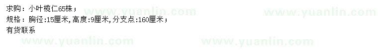 求購胸徑15公分小葉欖仁