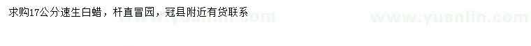 求購(gòu)17公分速生白蠟