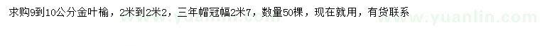 求購9-10公分金葉榆