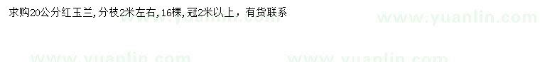 求購20公分紅玉蘭