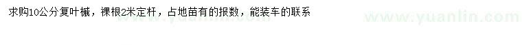 求購10公分復(fù)葉槭
