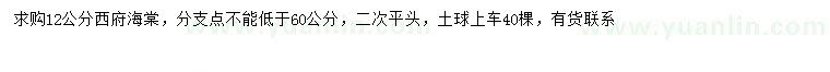 求購12公分西府海棠
