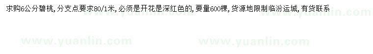 求購6公分碧桃