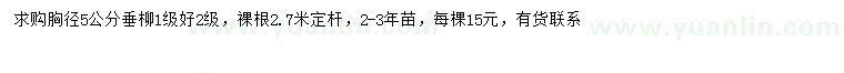 求購(gòu)胸徑5公分垂柳