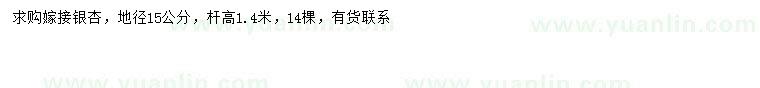 求購(gòu)地徑15公分銀杏