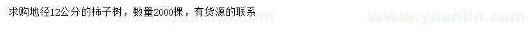 求購地徑12公分柿子樹(shù)