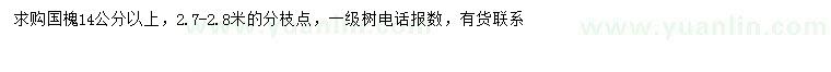 求購14公分以上國槐