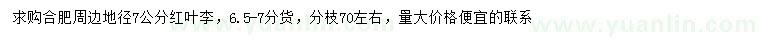 求購(gòu)地徑7公分紅葉李