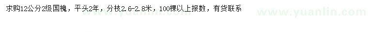求購12公分國槐