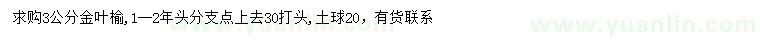 求購3公分金葉榆