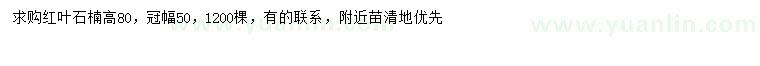 求購(gòu)高80公分紅葉石楠