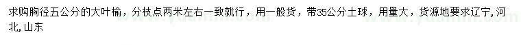 求購胸徑五公分大葉榆