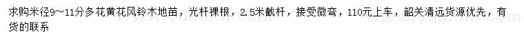 求購9-11公分多花黃花風(fēng)鈴木