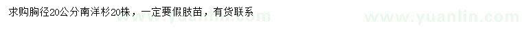 求購(gòu)胸徑20公分南洋杉