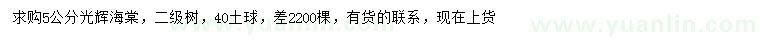 求購(gòu)5公分光輝海棠