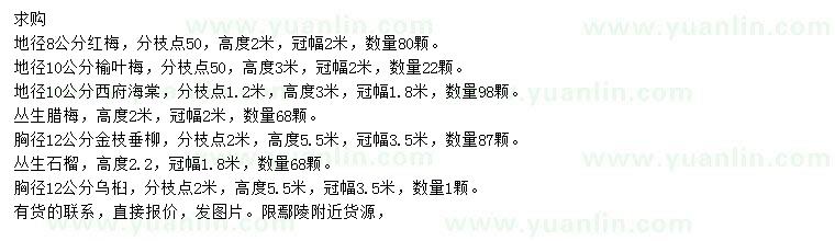 求購紅梅、榆葉梅、西府海棠等