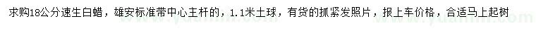 求購18公分速生白蠟
