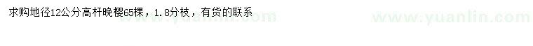 求購(gòu)地徑12公分高桿晚櫻
