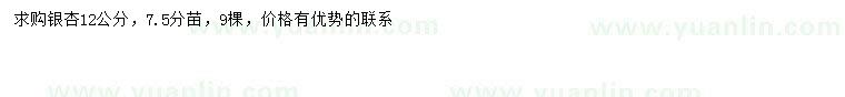 求購12公分銀杏