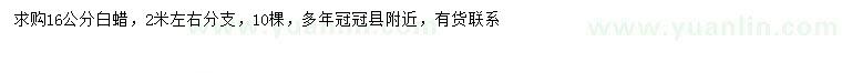 求購16公分白蠟