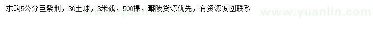 求購5公分巨紫荊