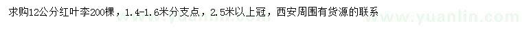 求購12公分紅葉李