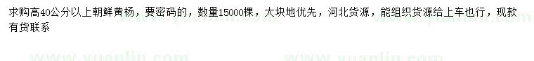 求購高40公分以上朝鮮黃楊