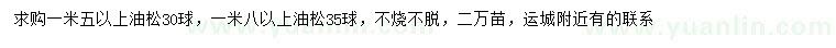 求購1.5米以上油松