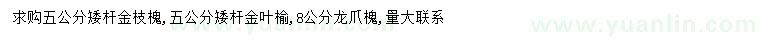 求購(gòu)金枝槐、金葉榆、龍爪槐