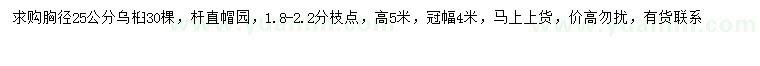 求購胸徑25公分烏桕