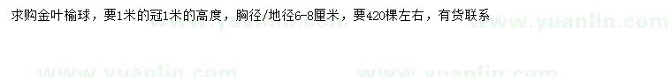 求購冠幅1米金葉榆球