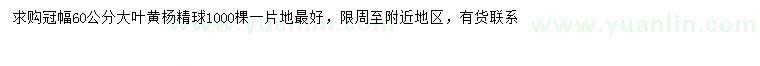 求購(gòu)冠幅60公分大葉黃楊球