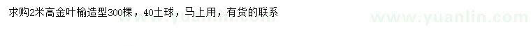 求購(gòu)高2米造型金葉榆