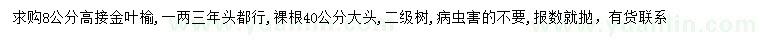 求購8公分高接金葉榆