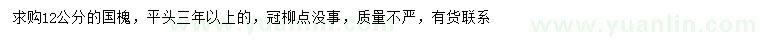 求購12公分國槐