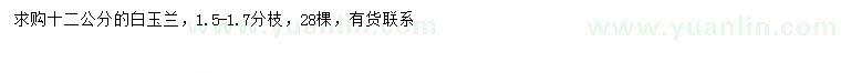 求購12公分白玉蘭