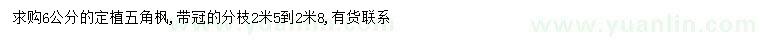 求購6公分五角楓