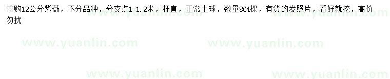 求購(gòu)12公分紫薇