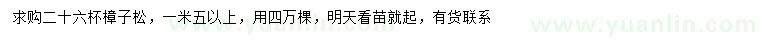 求購(gòu)1.5米以上樟子松