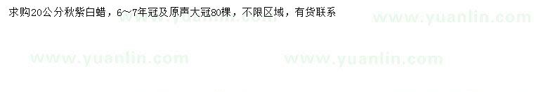 求購20公分秋紫白蠟