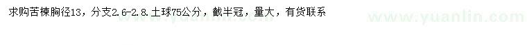 求購(gòu)胸徑13公分苦楝